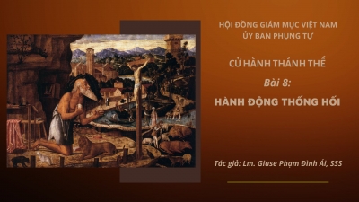 ​​​​​​​Cử hành Thánh Thể: Bài 8 - Hành động thống hối