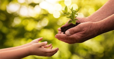 Tản mạn chút tự tình cuối năm