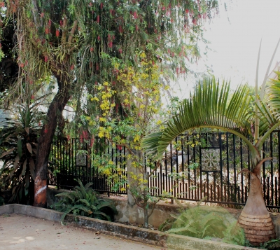 Quê hương nỗi nhớ