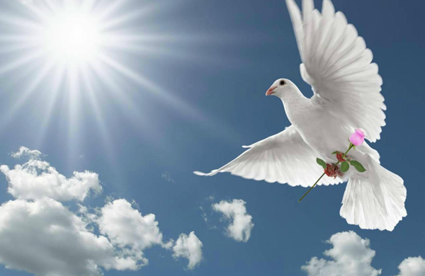 Lời nguyện xin hòa bình