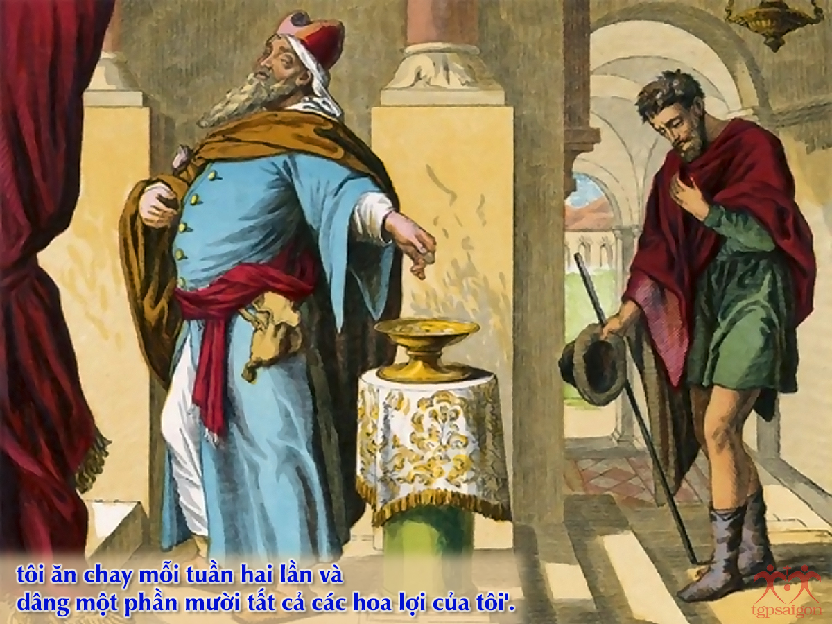 V 2016 CN30TN Pharise