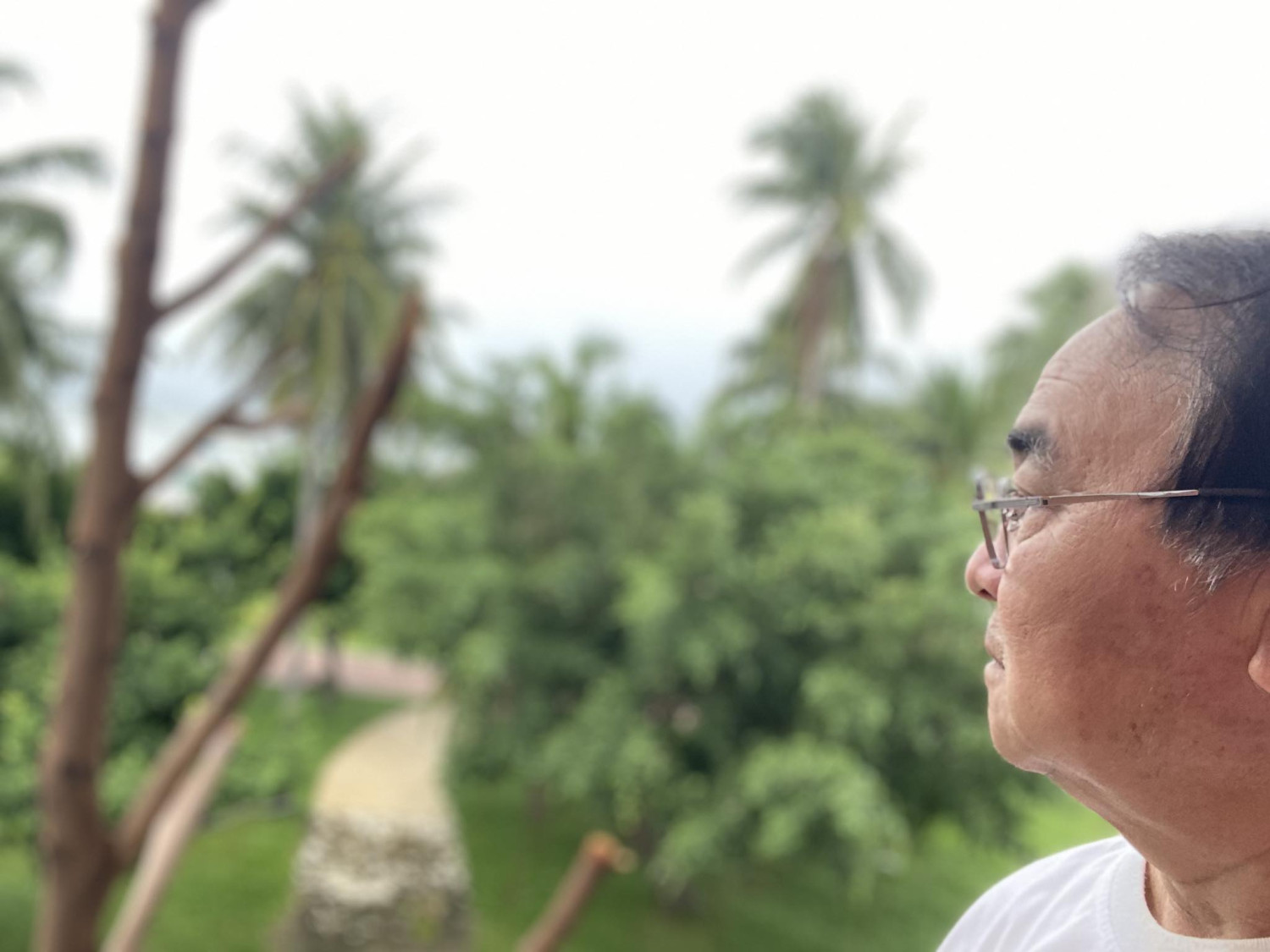 Mộng chiều đông