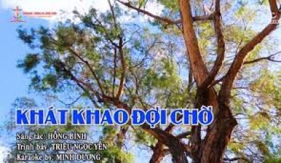 Khát Khao Đợi Chờ