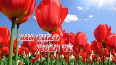 Xin Chào Xuân Về
