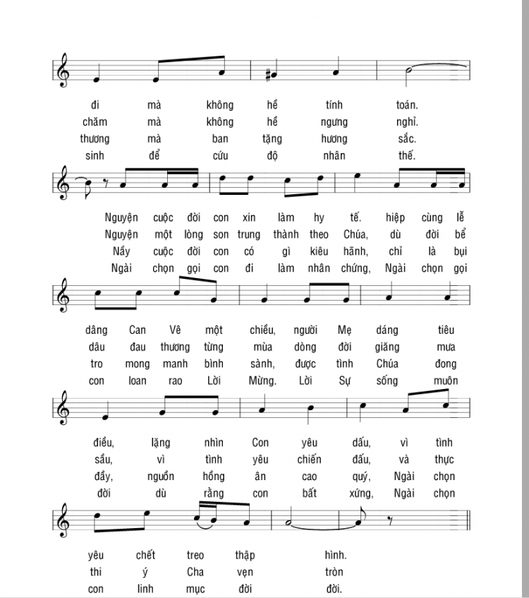 diucincilachi hb 02 750x847