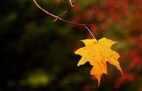 Tự Tình Tháng Mười Hai