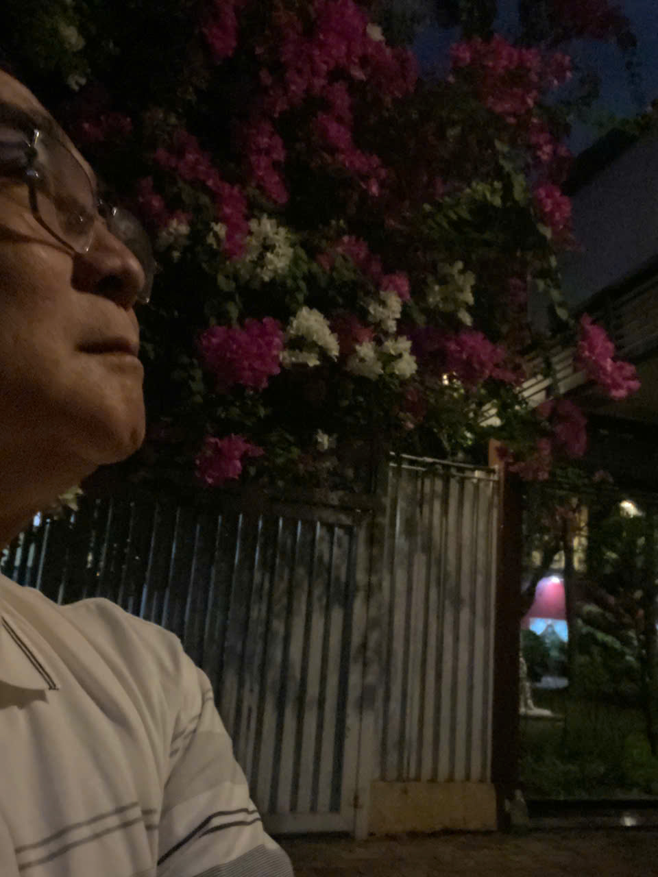 Trải lòng cuối năm