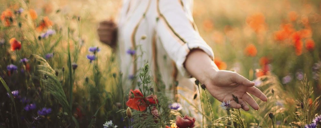 Lời tình tự cuối năm