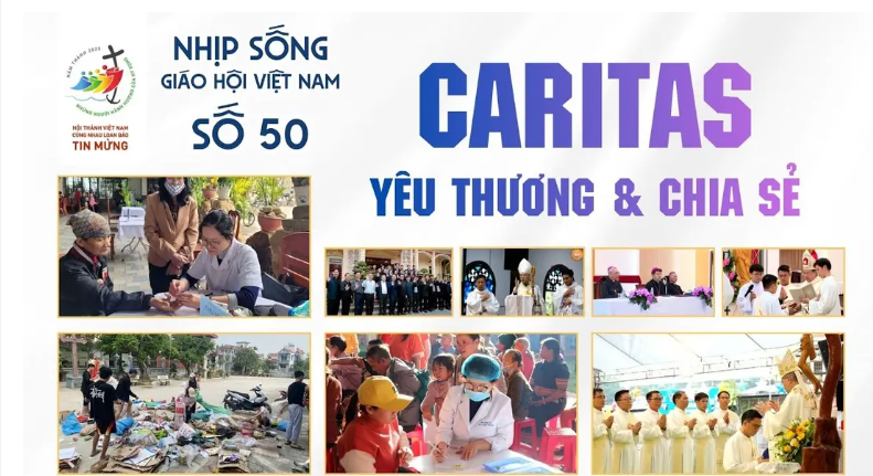 Nhịp sống Giáo hội Việt Nam số 50