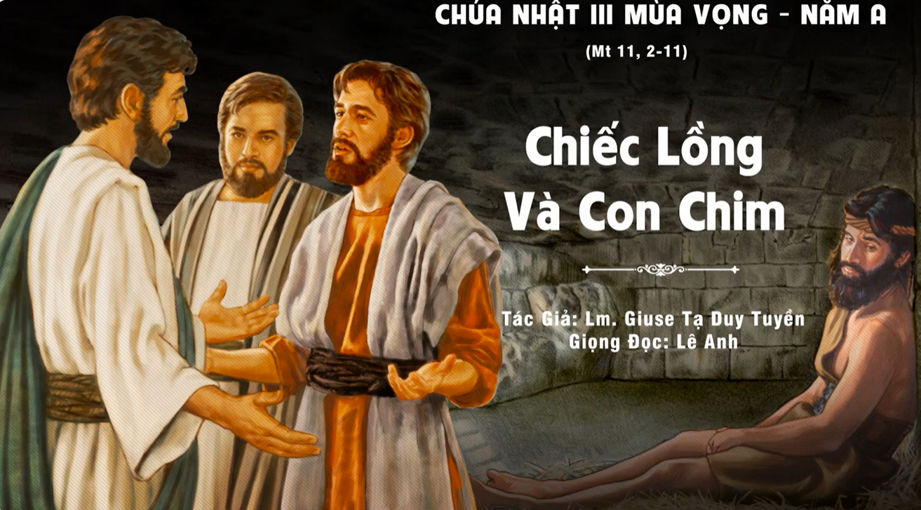 Chiếc lồng và con chim