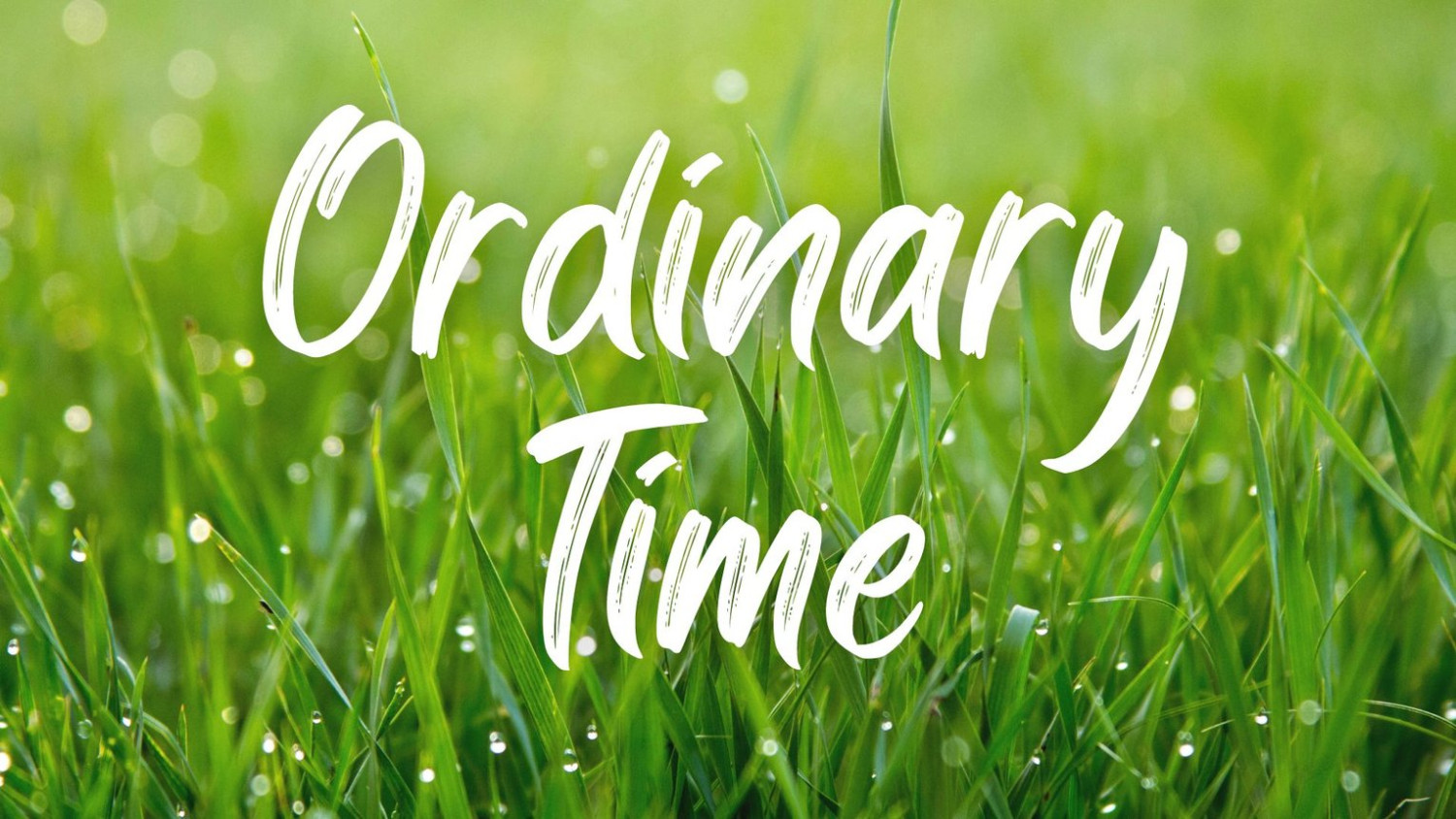 Mùa Thường Niên bắt đầu khi nào?