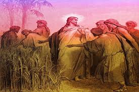 Suy Niệm Lời Chúa Thứ Ba Tuần 2 Thường Niên