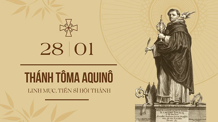 Thánh Tôma Aquinas  - Linh mục, tiến sĩ hội thánh