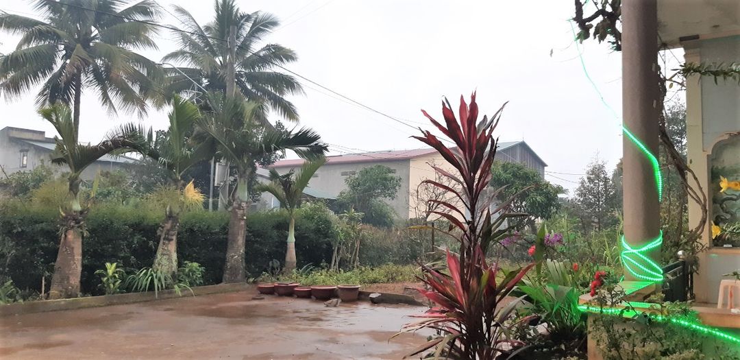 Đông lạnh đầu xuân