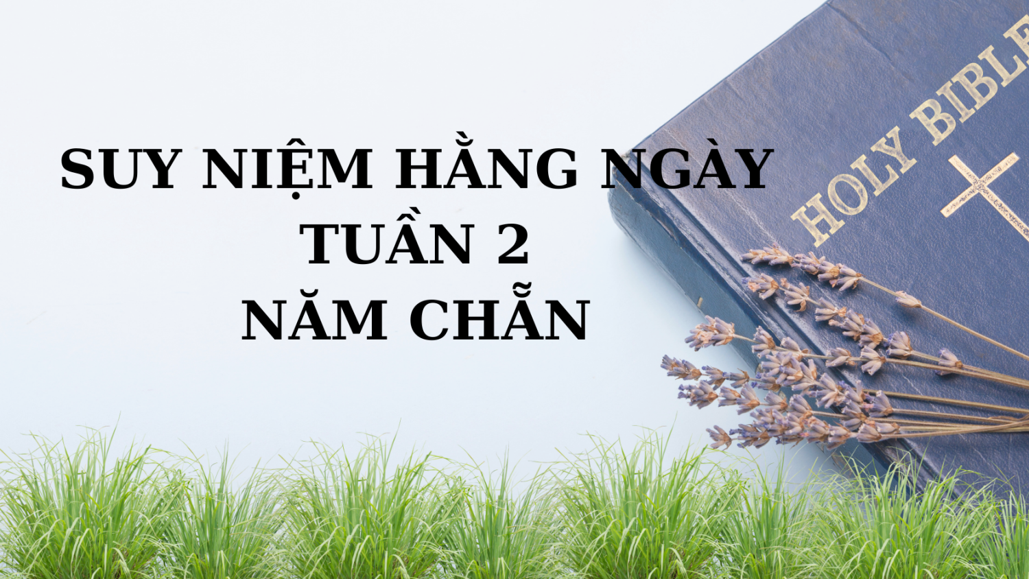 Suy niệm mỗi ngày, Tuần 2 Thường niên, năm chẵn