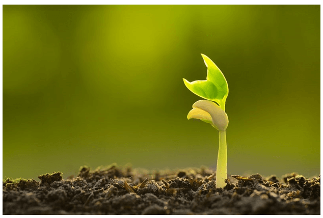 Đừng để những giới hạn làm chùn bước chân dấn thân