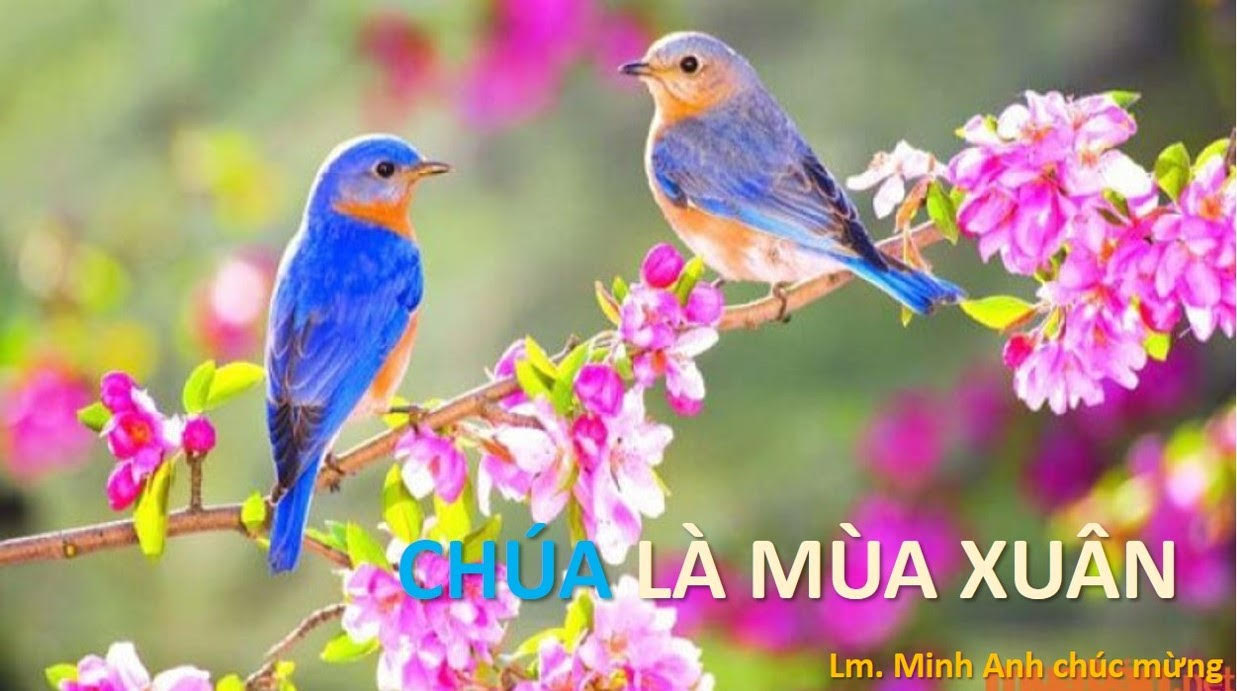 Giao năm-Giao lòng