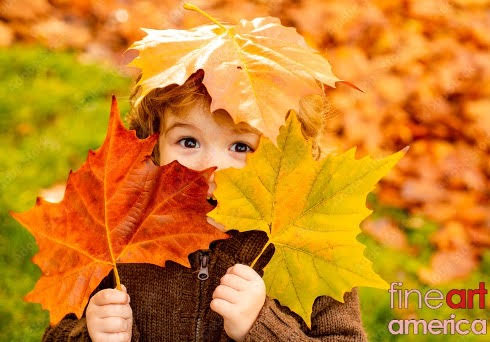 Hoàn thiên, một chỗ núp