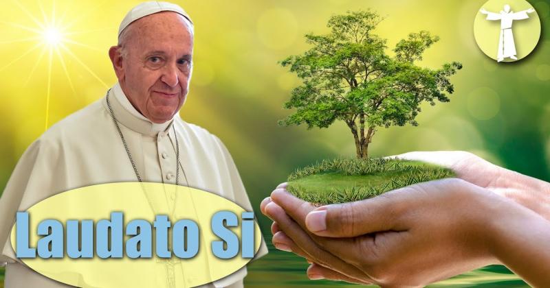 Chiêm ngắm và chăm sóc