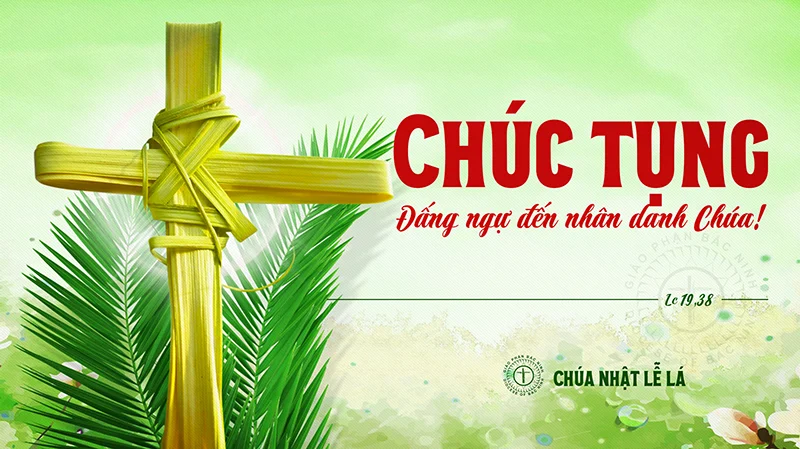 ​​​​​​​Suy Niệm Lời Chúa Chúa Nhật Lễ Lá