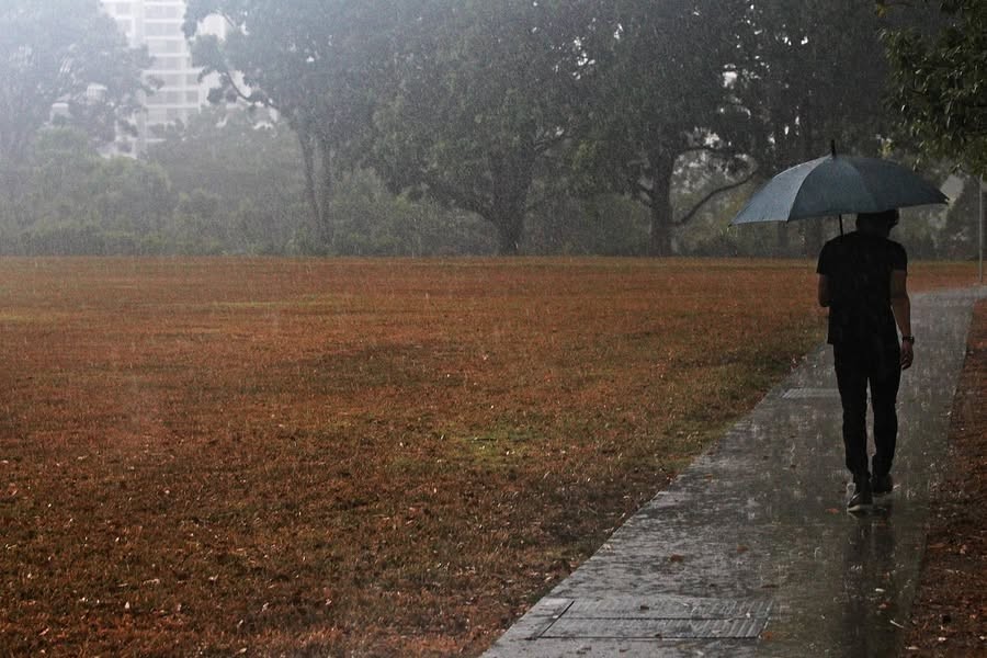 Tiếng mưa chiều