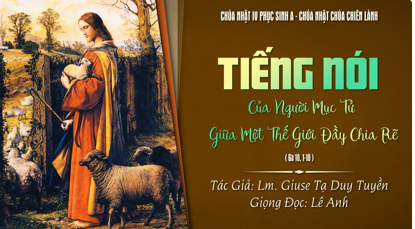 Tiếng nói của người mục tử giữa một thế giới đầy chia rẽ