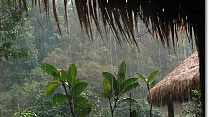 Lời của mưa