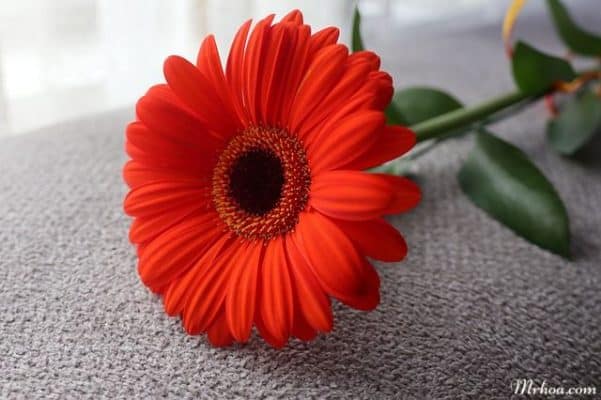Trưởng thành là biết gói ghém nỗi lòng