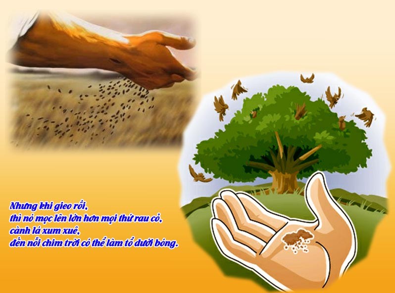 Sức sống bên trong