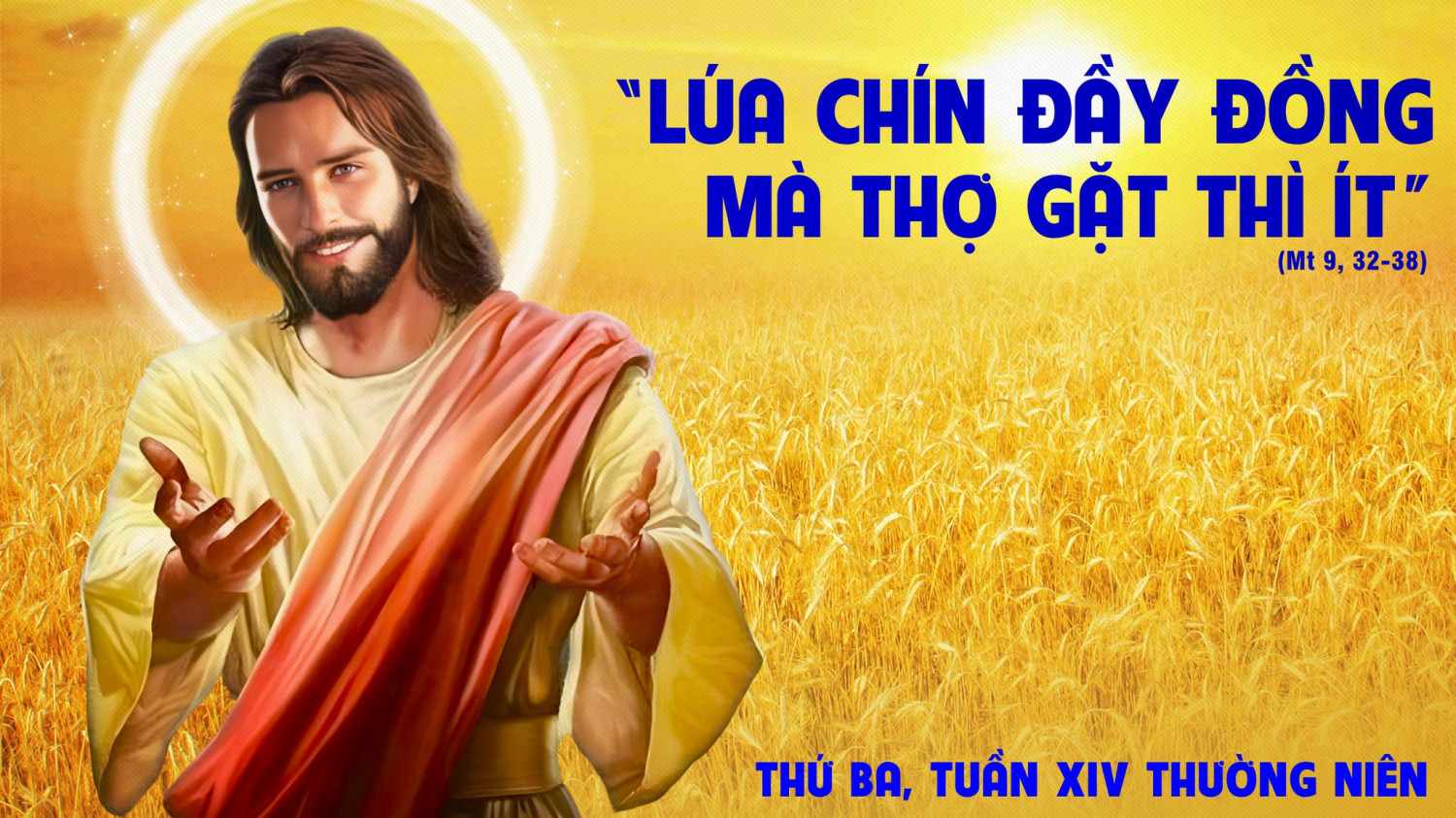 Suy Niệm Lời Chúa Thứ Ba Tuần 14 Thường Niên
