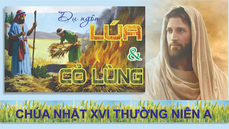 Suy Niệm Lời Chúa Chúa Nhật Tuần 16 Thường Niên