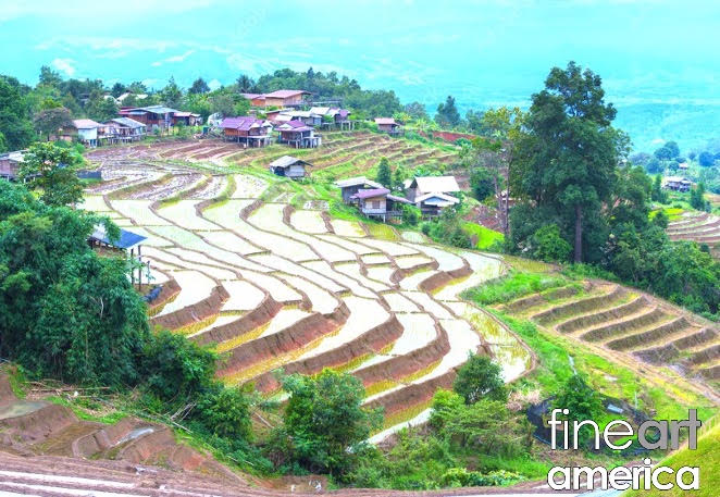 Rồi mùa sẽ đến
