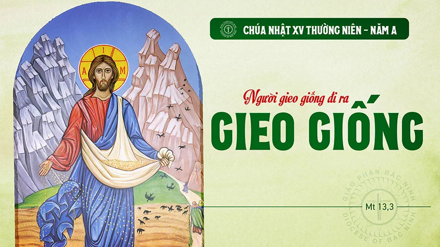 Suy Niệm Lời Chúa Chúa Nhật Tuần 15 Thường Niên