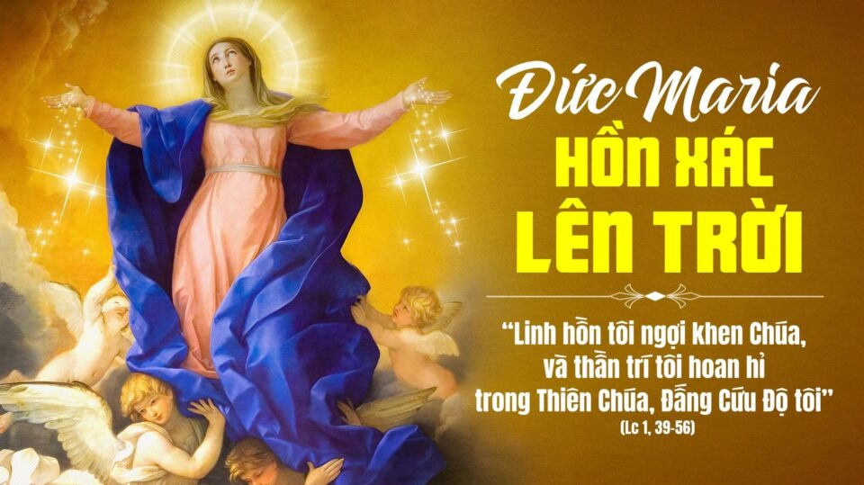 Suy Niệm Lời Chúa Thứ Bảy Tuần 19 Thường Niên
