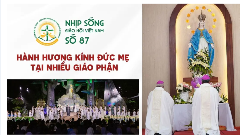 Nhịp sống Giáo hội Việt Nam số 87